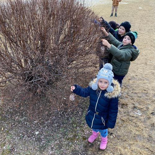 Kinder hängen Meisenknödel an einen Busch